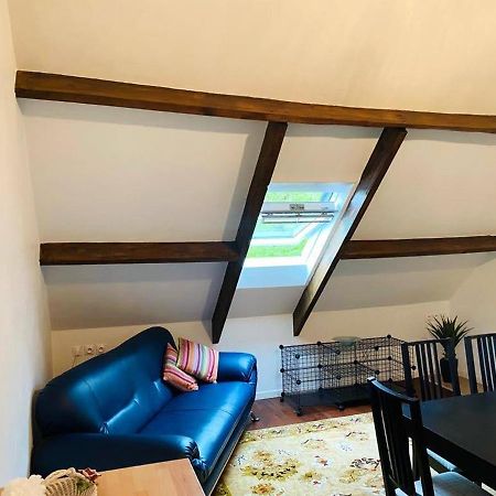 Appartement Charmant Orgnac-Sur-Vezere Avec Jardin Et Parking Ngoại thất bức ảnh