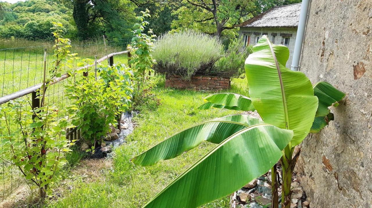 Appartement Charmant Orgnac-Sur-Vezere Avec Jardin Et Parking Ngoại thất bức ảnh