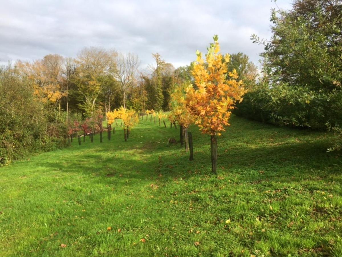 Appartement Charmant Orgnac-Sur-Vezere Avec Jardin Et Parking Ngoại thất bức ảnh